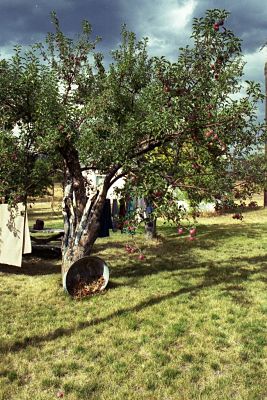 Wood River Farmers’ Markets</a>