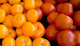 Wood River Farmers’ Markets