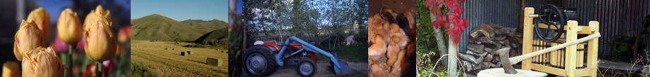 Wood River Farmers’ Markets