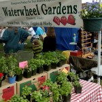 Waterwheel Gardens Waterwheel Gardens