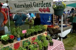 Waterwheel Gardens Waterwheel Gardens