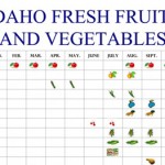 freshfruit-vegetablecalendar-cropped freshfruit-vegetablecalendar-cropped