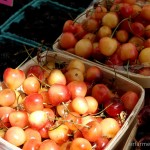 dsc_0045_dxo_raw