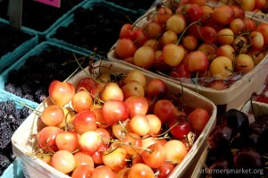 dsc_0045_dxo_raw