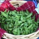 Peas